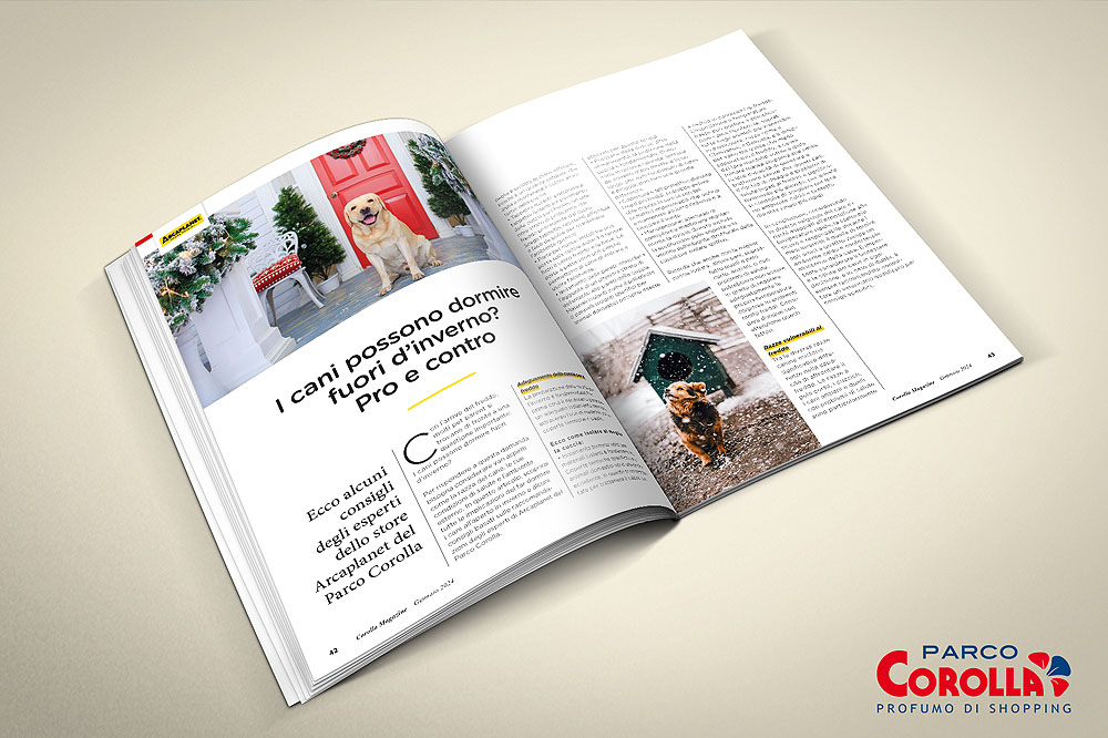 I cani possono dormire fuori d'inverno? Pro e contro